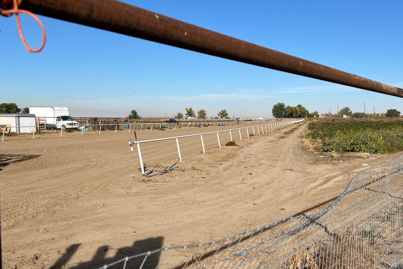 U.S. citizens and legal residents sue over aggressive immigration raid at Idaho horse racing track | iNFOnews.ca