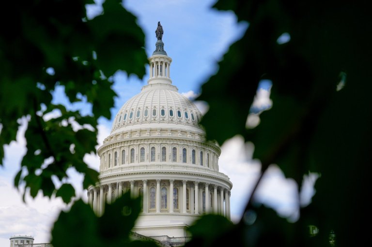 Georgia teen pleads guilty to gun charge for running onto Capitol grounds with loaded shotgun | iNFOnews.ca