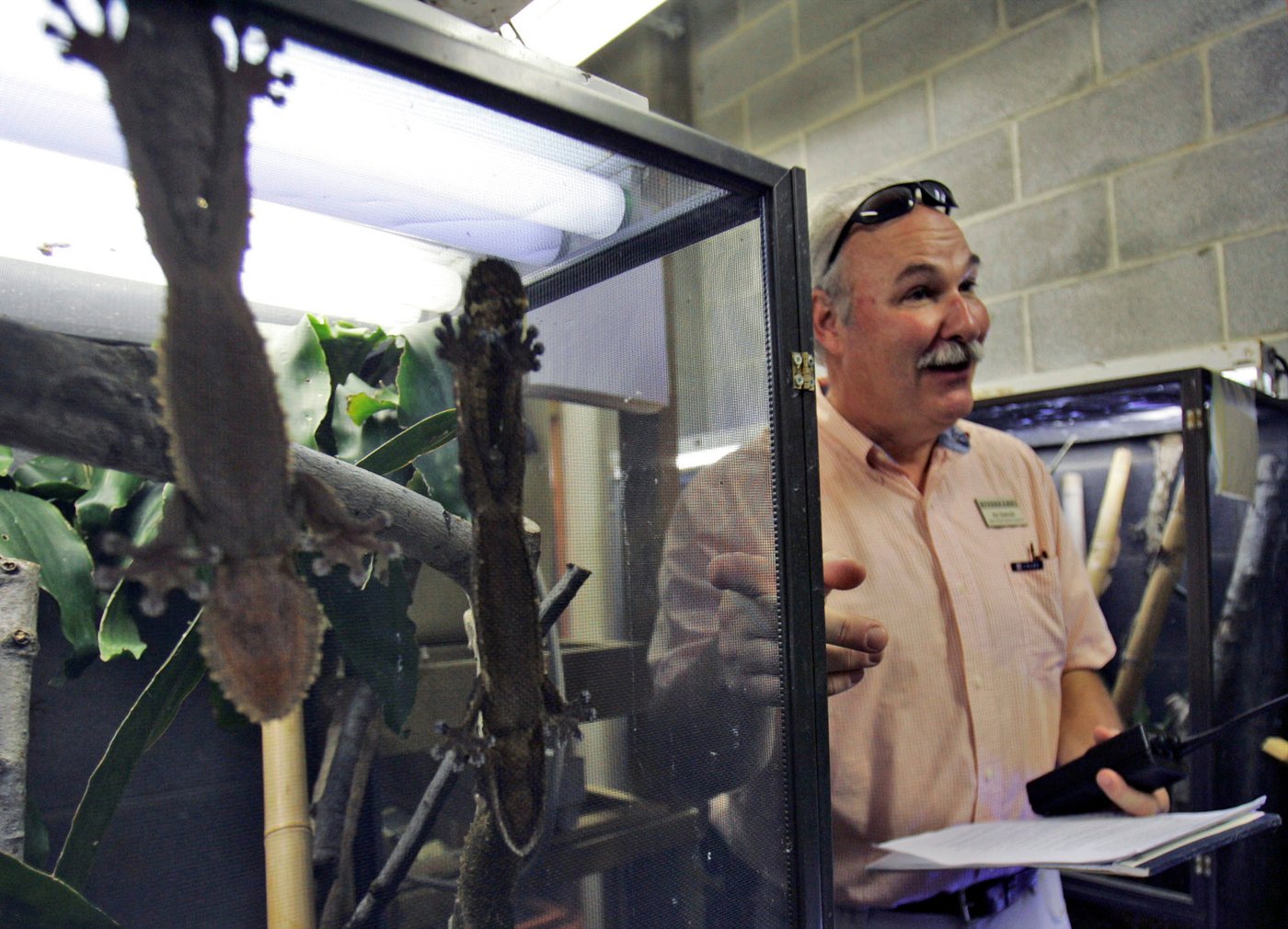 Endangered species convention proposes new rules for growing exotic pet trade | iNFOnews.ca Endangered species convention proposes new rules for growing exotic pet trade | iNFOnews.ca