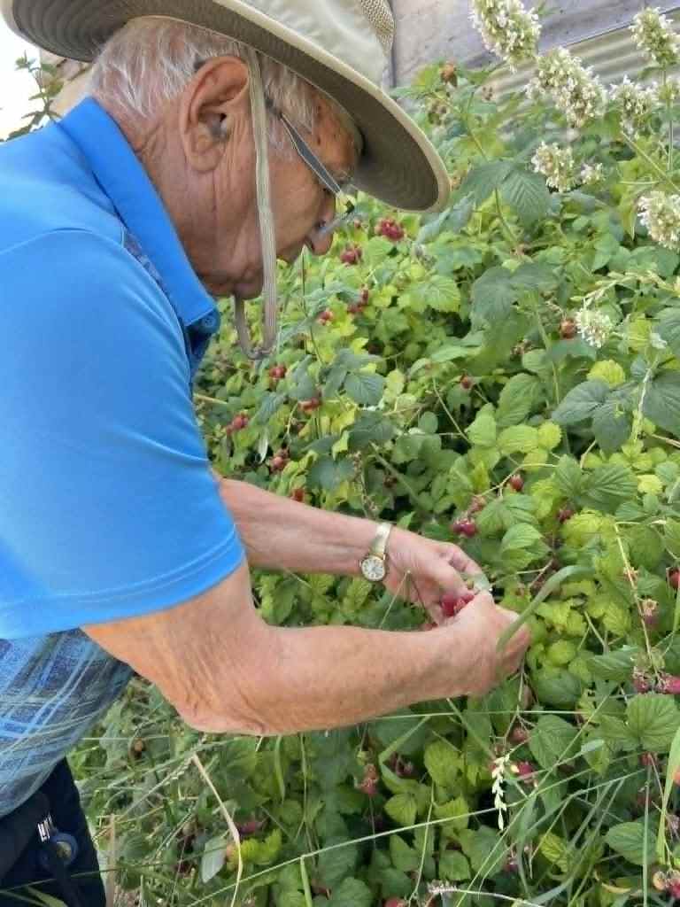 Kelowna healthcare worker opens care farm to benefit dementia sufferers | iNwine