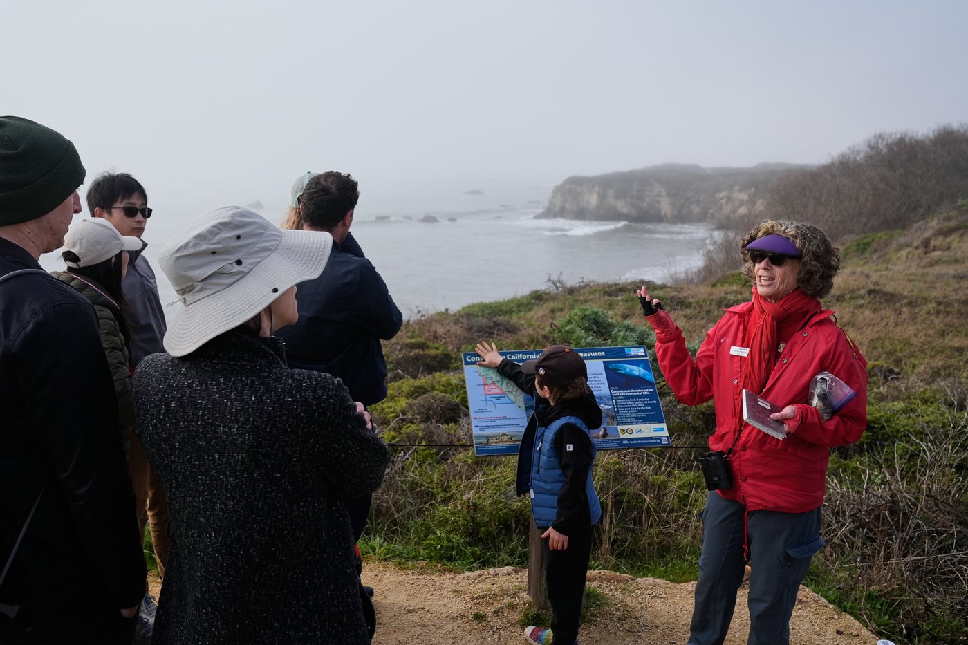 Elephant seals return to Año Nuevo State Park. Visitors watch battling bulls and 75-pound pups | iNFOnews.ca Elephant seals return to Año Nuevo State Park. Visitors watch battling bulls and 75-pound pups | iNFOnews.ca