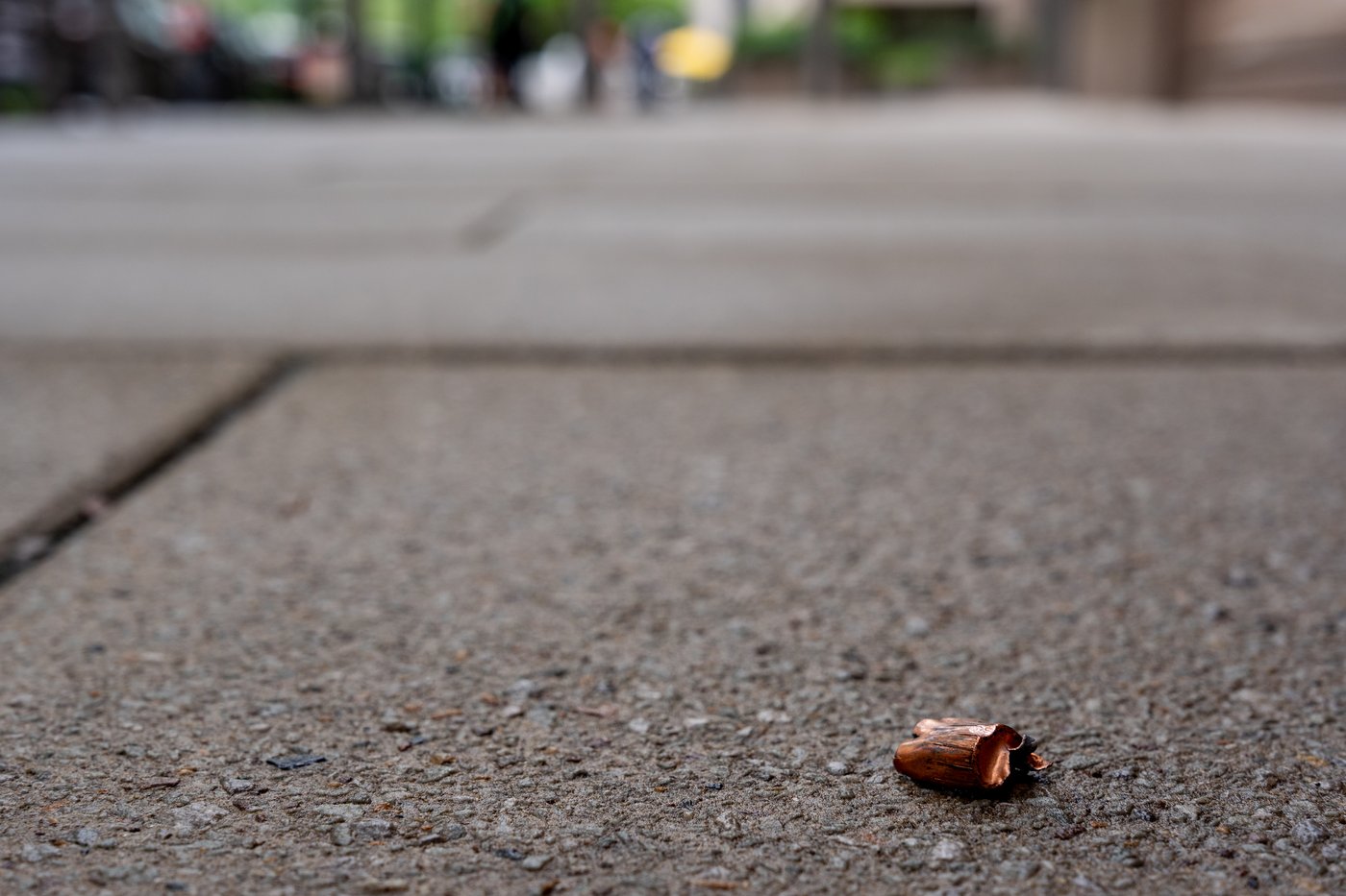 Bystander in serious condition after fatal shooting near White House checkpoint | iNFOnews.ca