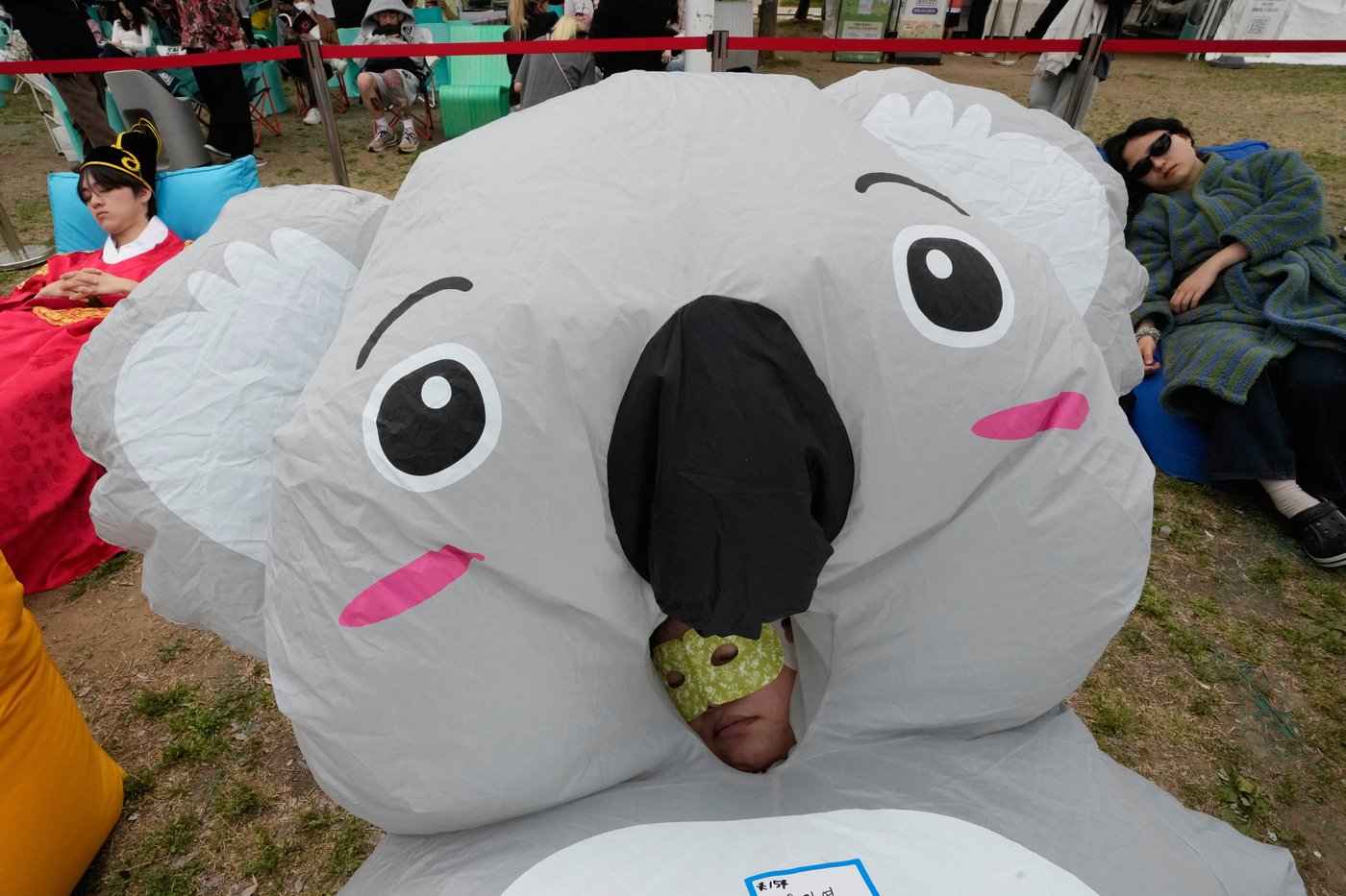 Sleep takes center stage at Seoul's Han River Nap Competition, in photos | iNFOnews.ca