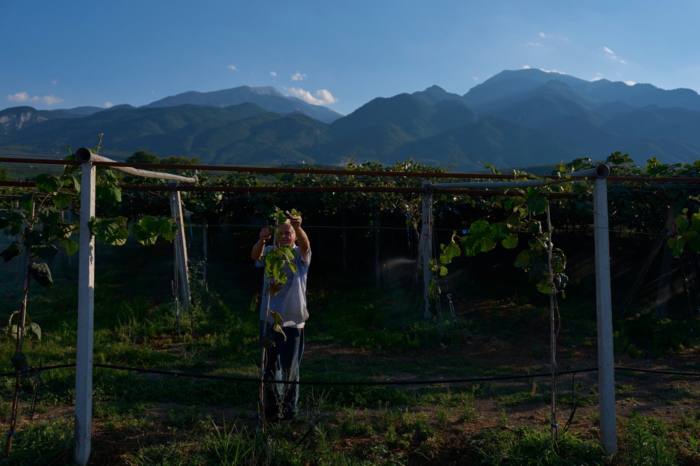 Mount Olympus, home of the ancient Greek gods, vies for World Heritage status | iNFOnews.ca