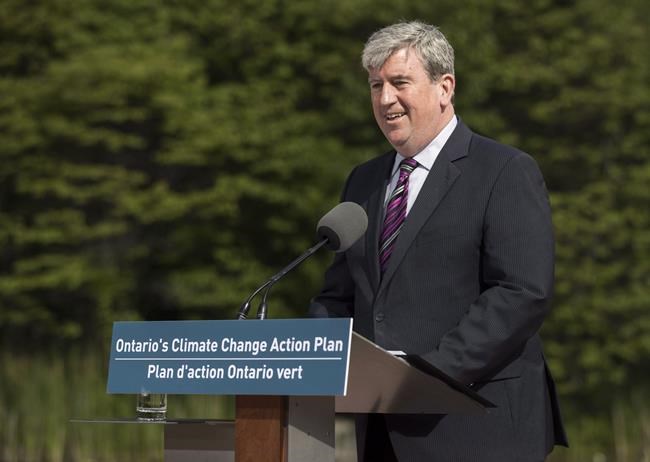 Greens say fundraising error is less than $10K but Murray camp is not so sure | iNFOnews.ca CP1878396834