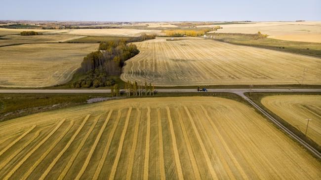 'A lot of positives:' Western farmers wrap up harvest early, look to improved prices | iNFOnews.ca 'A lot of positives:' Western farmers wrap up harvest early, look to improved prices | iNFOnews.ca