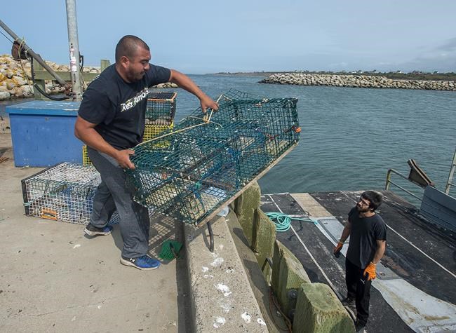 Lobster catch destroyed, vehicle burned as tension rises over Indigenous fishery | iNFOnews.ca