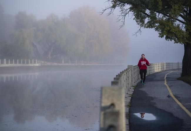 New guidelines urge adults to cap screen time, sedentary behaviour even in pandemic | iNFOnews.ca