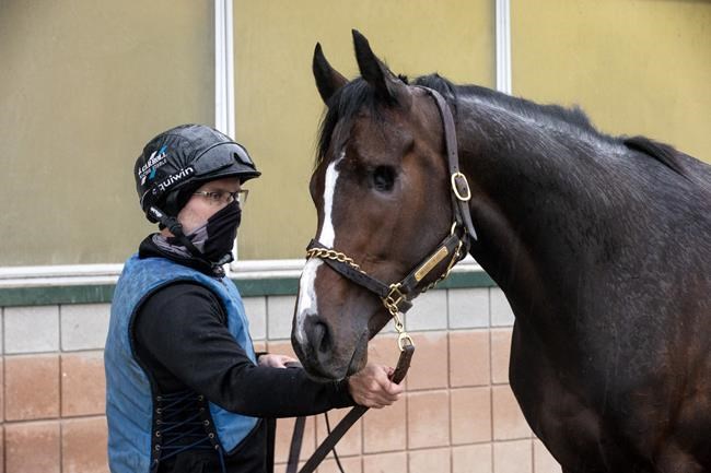 Mighty Heart to take run at ending Triple Crown drought in $400,000 Breeders Stakes | iNFOnews.ca Mighty Heart to take run at ending Triple Crown drought in $400,000 Breeders Stakes | iNFOnews.ca