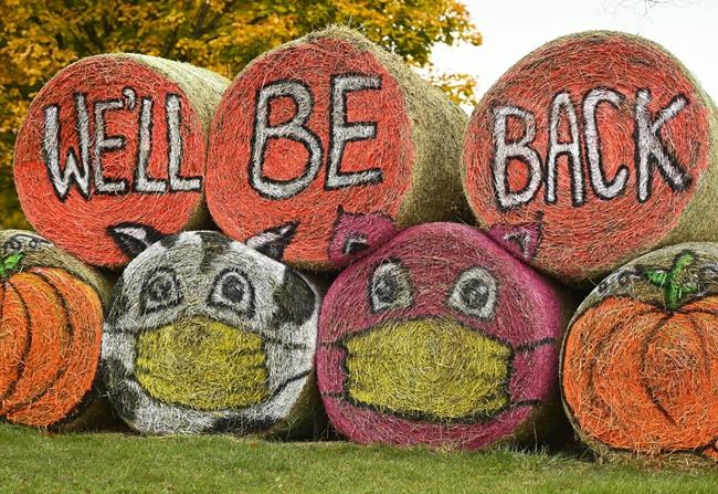 Trick or Treat? Experts divided on letting kids go out on Halloween due to COVID risk | iNFOnews.ca