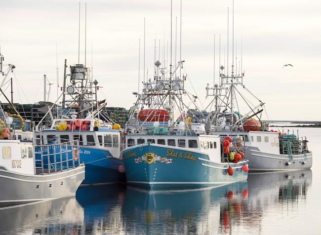 Conservation group says regulatory gaps in Canadian seafood supply chain pose threat | iNFOnews.ca Conservation group says regulatory gaps in Canadian seafood supply chain pose threat | iNFOnews.ca