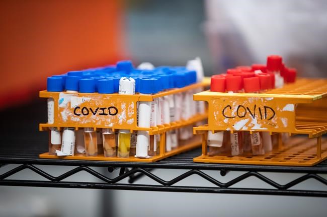 B.C. health officials ask businesses to review COVID-19 safety plans as cases rise | iNFOnews.ca