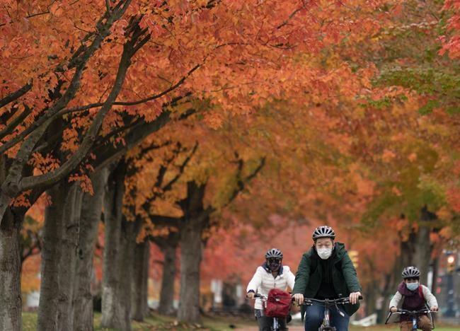 B.C.'s top doctor says contact tracing resources stretched to the limit | iNFOnews.ca B.C.'s top doctor says contact tracing resources stretched to the limit | iNFOnews.ca