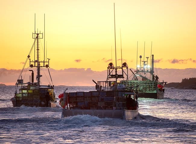 Nova Scotia RCMP say man faces assault charges in violent clash at lobster pound | iNFOnews.ca