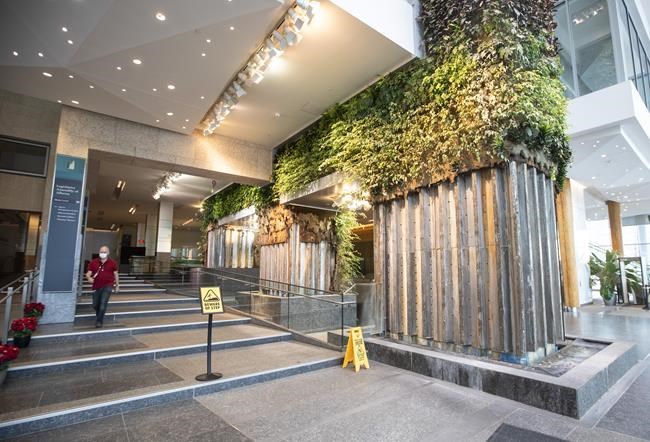 Fall of the wall: Alberta government takes down plant installation early due to bugs | iNFOnews.ca