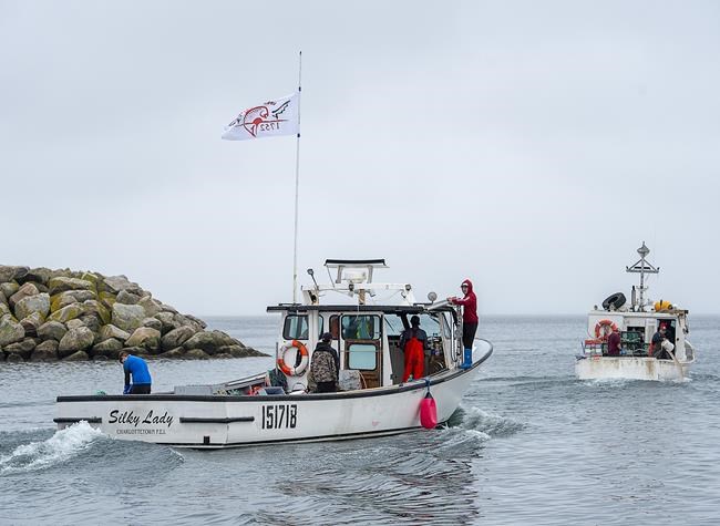 CP1920903881