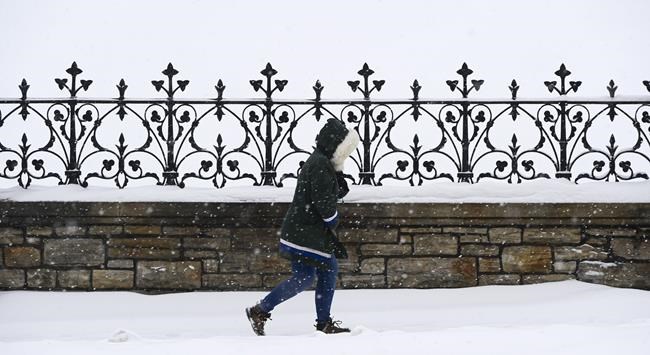 Wild winter, drastic swings in store for Canada this year: Weather Network | iNFOnews.ca