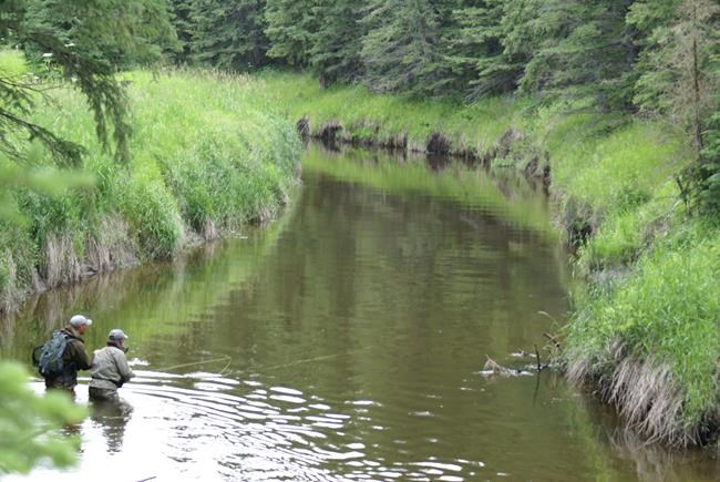 Anglers seek protection for Alberta river they say is threatened by gravel plan | iNFOnews.ca Anglers seek protection for Alberta river they say is threatened by gravel plan | iNFOnews.ca