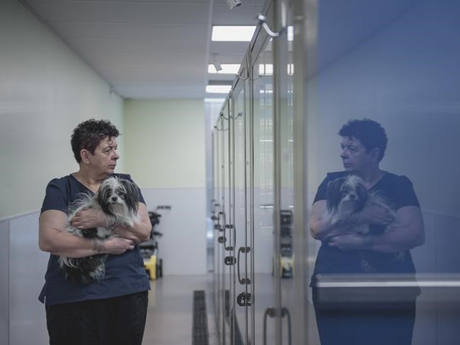 'Murmur' wins top prize at Screen Nova Scotia awards | iNFOnews.ca