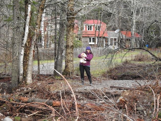 New Brunswick woman remains stranded a week after storm washed out bridge to home | iNFOnews.ca New Brunswick woman remains stranded a week after storm washed out bridge to home | iNFOnews.ca
