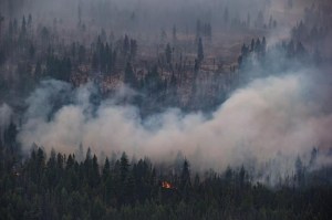 CP1750978538