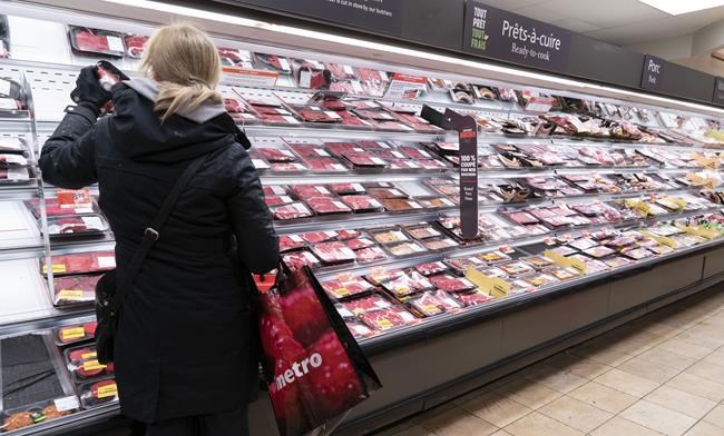 Food insecurity during COVID-19 pandemic linked to poor mental health: StatCan | iNFOnews.ca