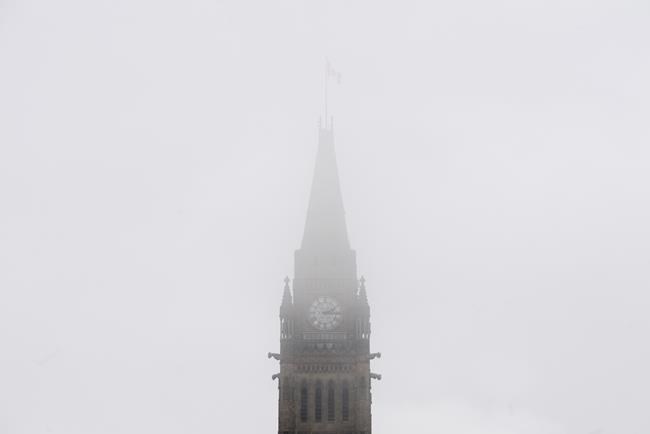 Feds have not 'demonstrated need' for security-screening measures: privacy watchdog | iNFOnews.ca