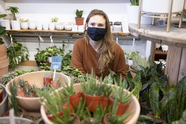 'Plant boom:' Working from home, pandemic stress has people turning green | iNFOnews.ca 'Plant boom:' Working from home, pandemic stress has people turning green | iNFOnews.ca