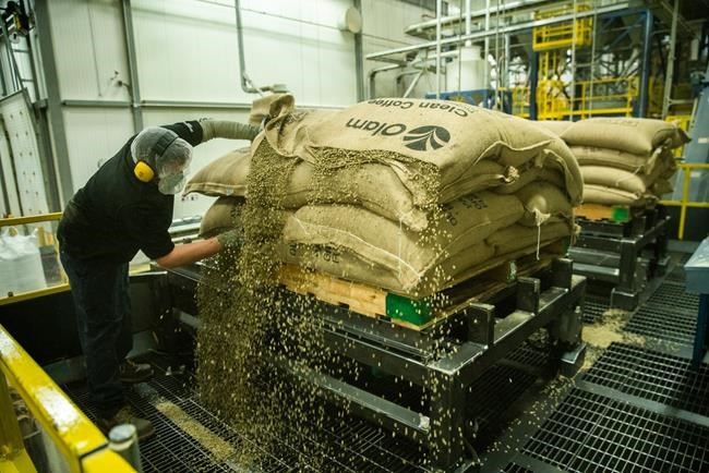 Tim Horton launches new dark roast as part of chain's plan to get back to basics | iNFOnews.ca