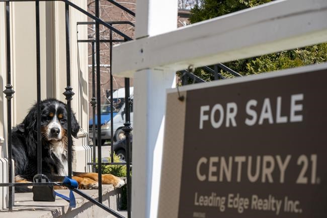 Toronto Real Estate Board says home prices hit record in 2020 as sales climbed | iNFOnews.ca