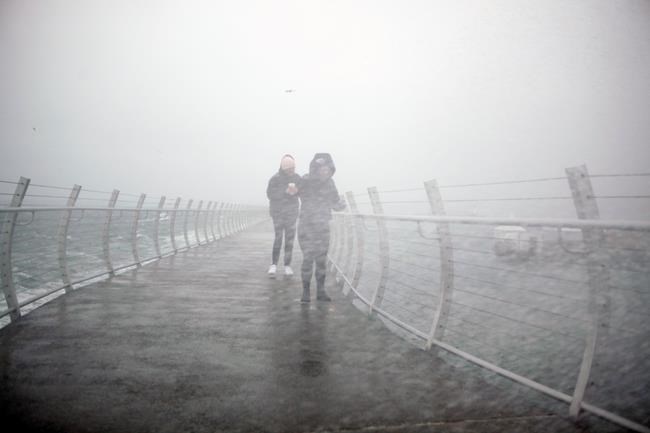 Conditions easing, ferry travel resumes after wind, rain batter B.C. coast | iNFOnews.ca Conditions easing, ferry travel resumes after wind, rain batter B.C. coast | iNFOnews.ca