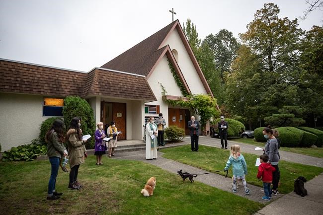 Too many new pet owners, not enough vets make getting animal care a problem | iNFOnews.ca