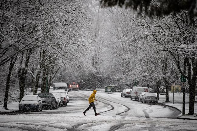 Snowfall warnings in place for Metro Vancouver, Fraser Valley and Vancouver Island | iNFOnews.ca Snowfall warnings in place for Metro Vancouver, Fraser Valley and Vancouver Island | iNFOnews.ca