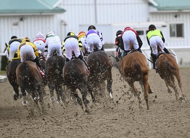 Pattison Canadian International is included on Woodbine's 2021 thoroughbred schedule | iNFOnews.ca