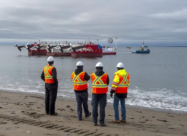 Harnessing the Bay of Fundy: New platform has turbines like a boat's outboard motor | iNFOnews.ca Harnessing the Bay of Fundy: New platform has turbines like a boat's outboard motor | iNFOnews.ca