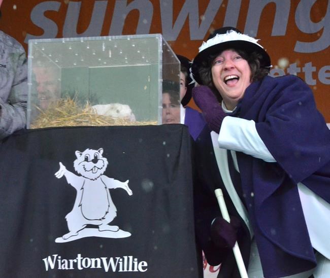 Folklore: Canada's weather-predicting groundhogs call for early spring | iNFOnews.ca