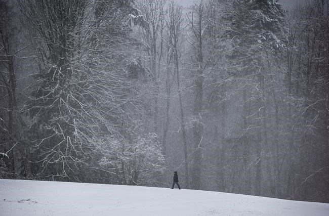 B.C. bracing for a cold week as Arctic air moves south: Environment Canada | iNFOnews.ca