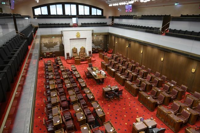 New proposed assisted-dying law is 'racist,' says disability rights activist | iNFOnews.ca New proposed assisted-dying law is 'racist,' says disability rights activist | iNFOnews.ca