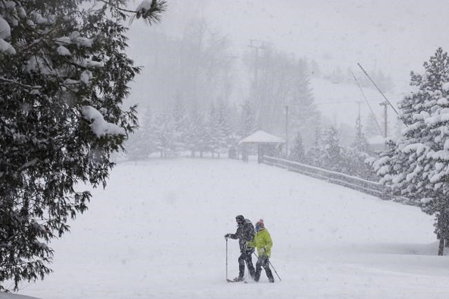 Skiers may be safe from COVID-19, but not those working to keep slopes open: experts | iNFOnews.ca