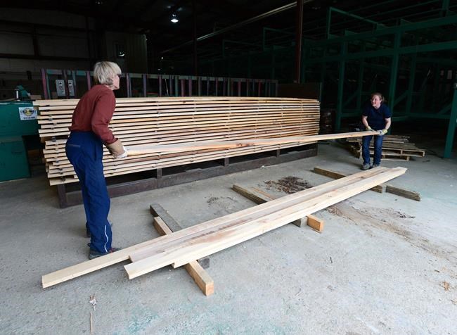 Benchmark lumber prices jump to a record US$1,000 despite slowdown in sales volumes | iNFOnews.ca