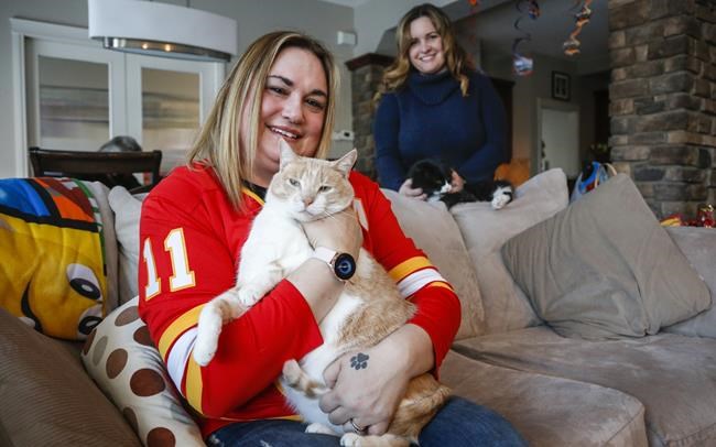 'Something much bigger:' Calgary pet charity hopes to expand to keep kids with pets | iNFOnews.ca