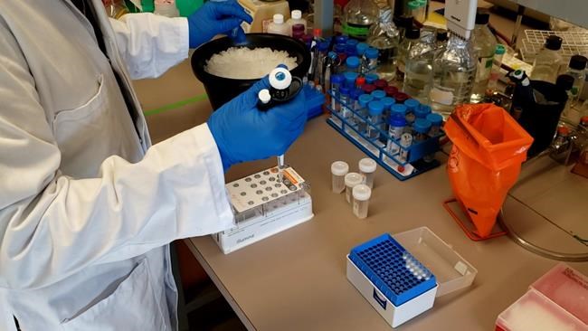 Canada aims to double genomic surveillance for concerning variants | iNFOnews.ca