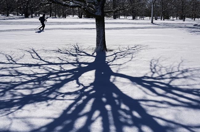 Mild spring with some wintry blasts predicted for most of Canada: Weather Network | iNFOnews.ca
