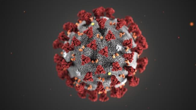 Metro Vancouver wastewater carries COVID-19, new app reveals viral load | iNFOnews.ca