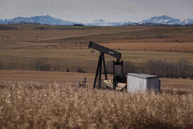 Alberta Energy Regulator suspends licences of oil and gas producer that owes $67M | iNFOnews.ca