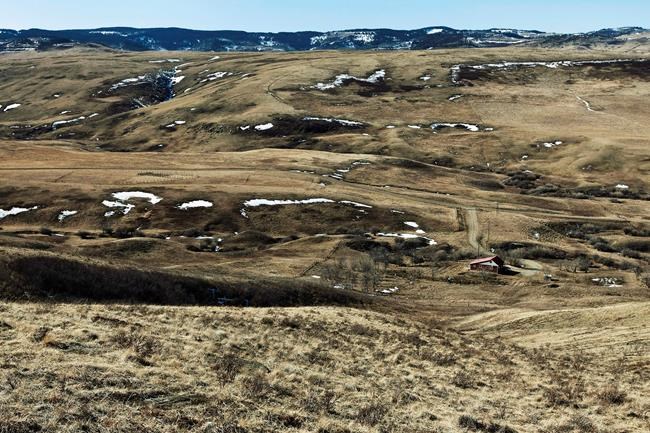 Coal exploration approvals already exceed legal road thresholds, data suggests | iNFOnews.ca Coal exploration approvals already exceed legal road thresholds, data suggests | iNFOnews.ca