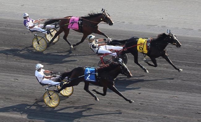 Ontario shutdown forces Woodbine harness driver Bob McClure to race in United States | iNFOnews.ca