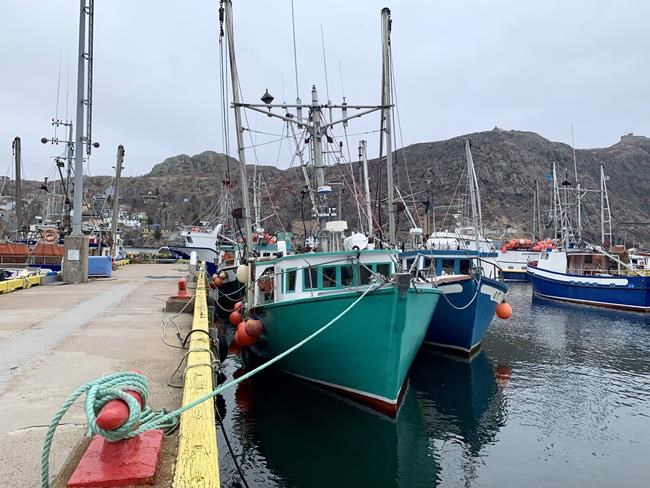 CP1553381727
