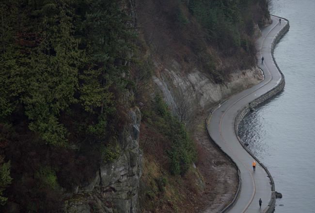 Vancouver man riding scooter collides with coyote, fends off two others | iNFOnews.ca