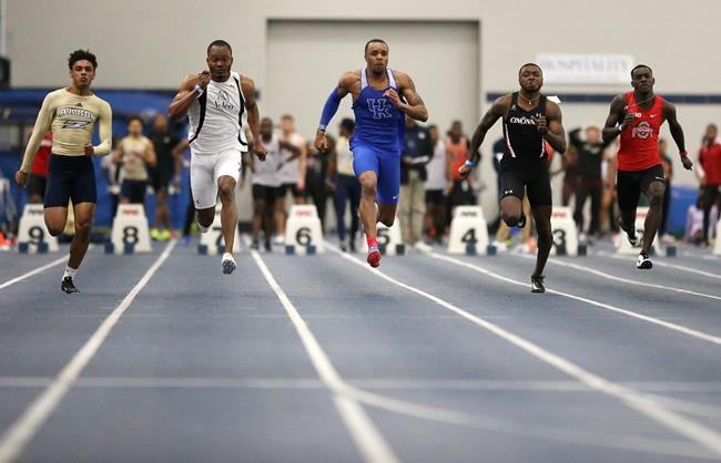 Like father, like son: Floreal emerges as one of Canada's top sprinters | iNFOnews.ca Like father, like son: Floreal emerges as one of Canada's top sprinters | iNFOnews.ca